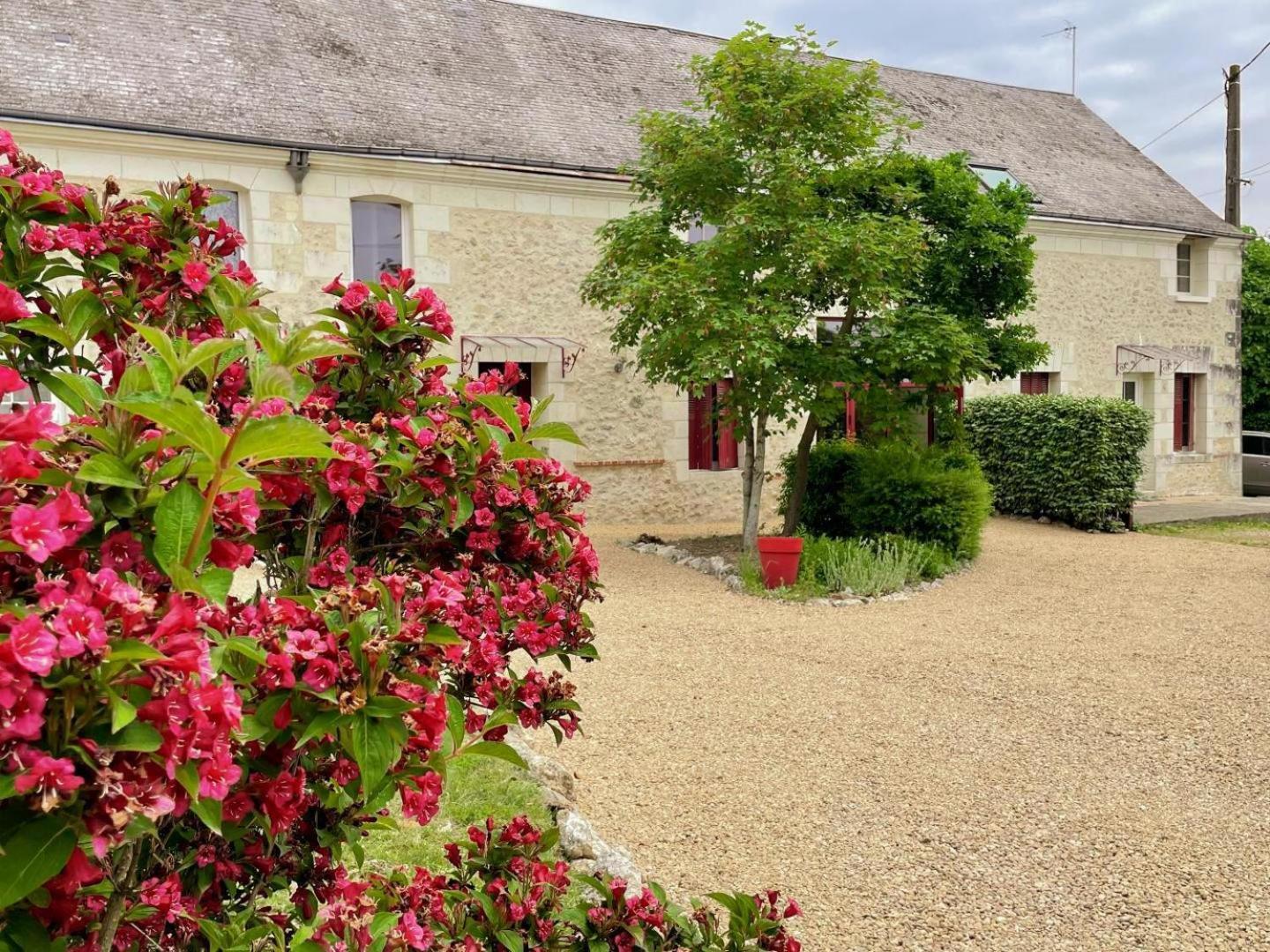 Bed and Breakfast Au Domaine Du Bois Joubert Luzille Экстерьер фото